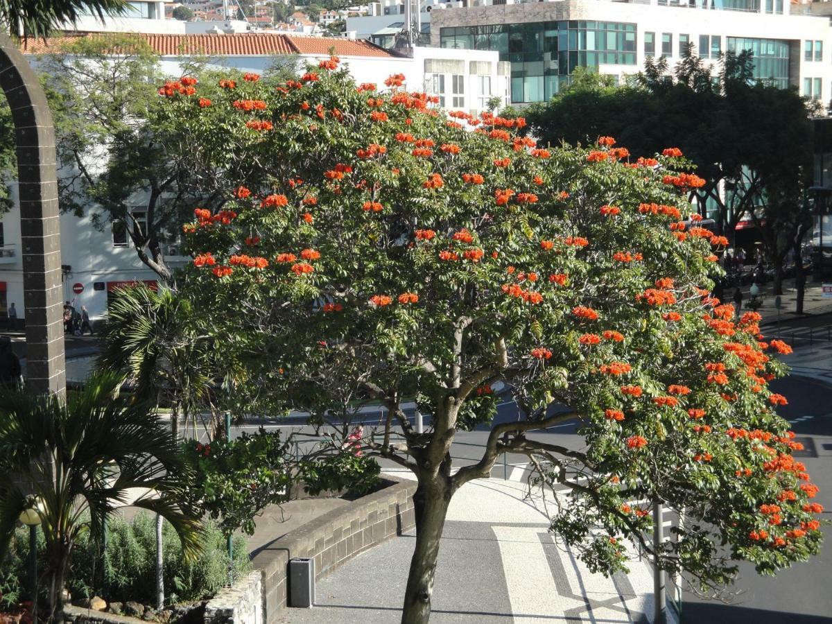 Violeta House Villa Funchal  Exterior foto